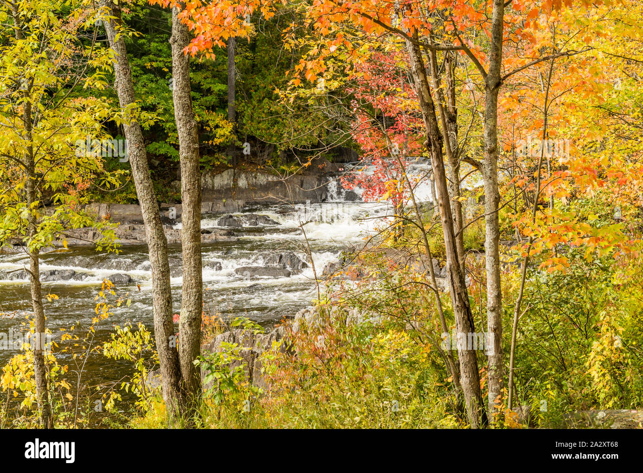 Zone de conservation de Cordova et de Healey Falls Algonquin Highlands Havelock Ontario Le Canada en automne Banque D'Images