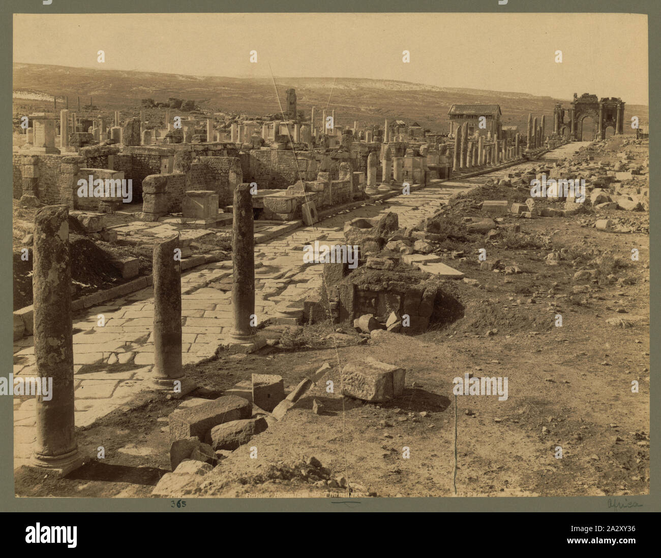 Ruines Romaines de Thamugas / ND Phot. Banque D'Images