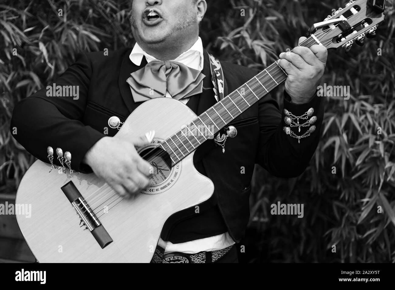 Musicien Chanteur mexicain Mariachi traditionnel Banque D'Images