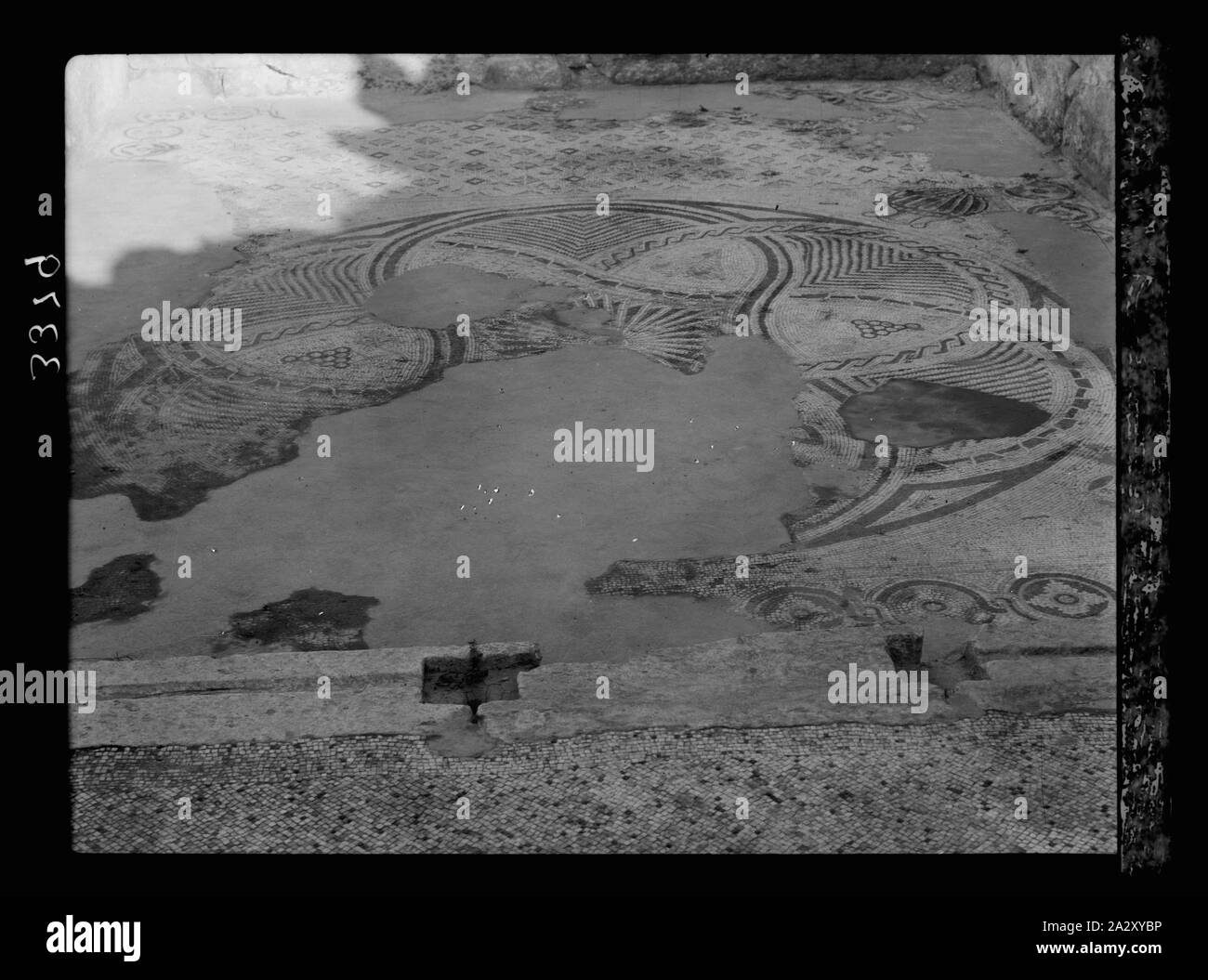 Ruines de Gérasa (Jerash). Mosaïque de Jerash. Étage de sacristie à l'église de Saint Théodore Banque D'Images