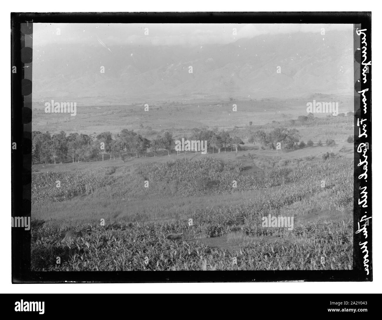 Ruinzori à partir de Fort Portal. Mts. de la Lune Banque D'Images
