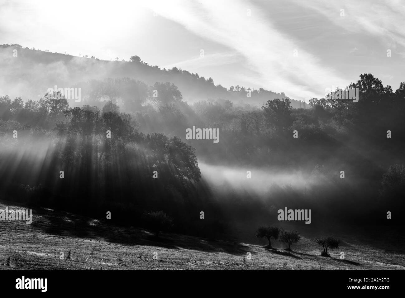 Du soleil à l'aube au-dessus de collines coupant à travers la brume et arbres Banque D'Images