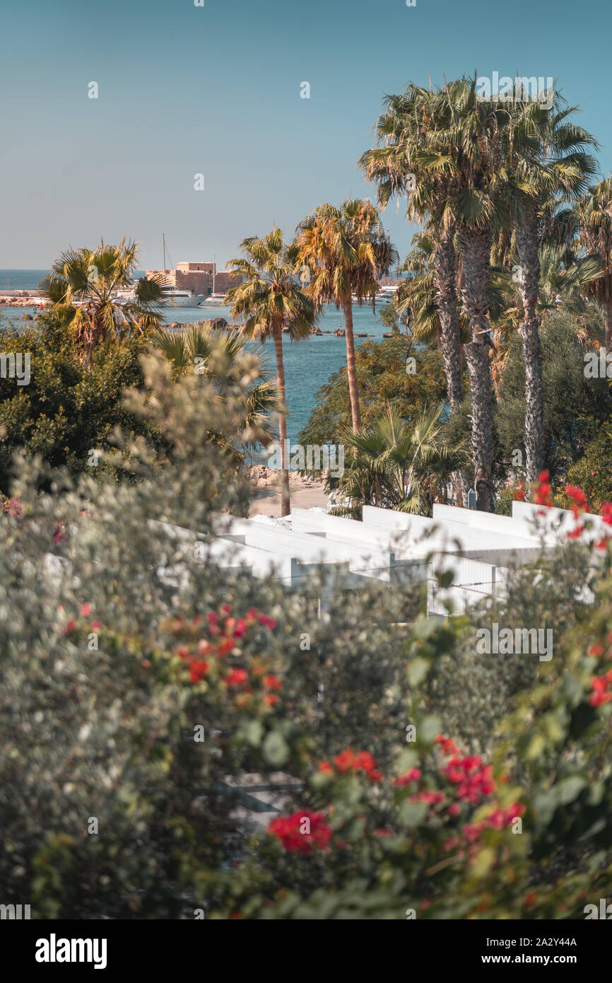 Belle vue sur le vieux château, le port et la mer à Paphos, Chypre Banque D'Images