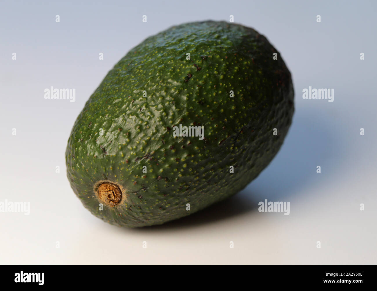 L'avocat sur un tableau blanc. Gros plan de l'environnement sain et délicieux légumes verts utilisés pour de nombreux plats mexicains comme le guacamole. Plein de bons gras ! Banque D'Images