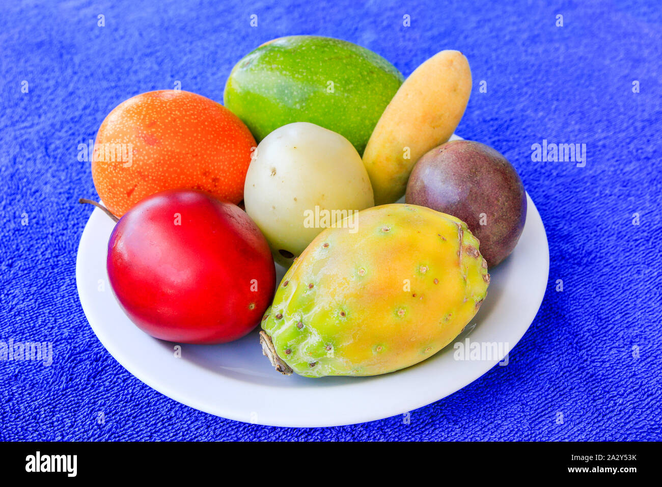 Bol à fruits spéciaux colorés sur fond bleu avec dish Banque D'Images