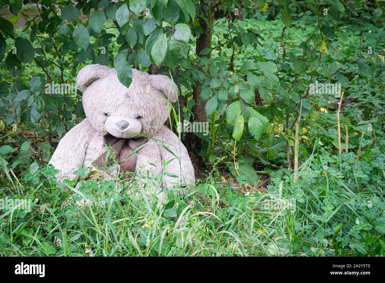 Ours en peluche abandonné dans la cour en vertu de l'arbre. Symbole de triste et d'abandon. concept solitaires. internationale des enfants disparus. Fin de l'enfance Banque D'Images