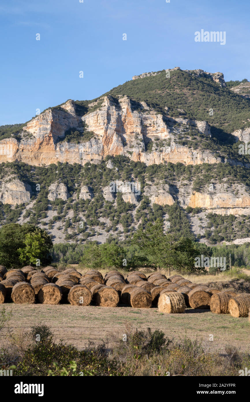 Vue près de Pesquera de Ebro, Burgos, Espagne Banque D'Images