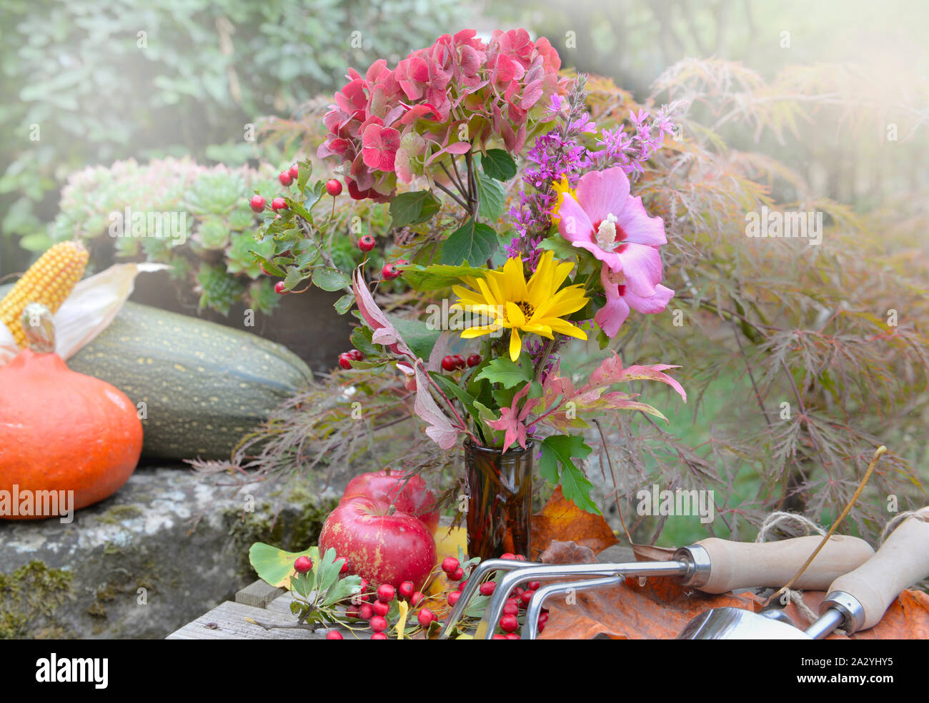 De belles fleurs de jardin et des légumes dans la nature d'automne Banque D'Images