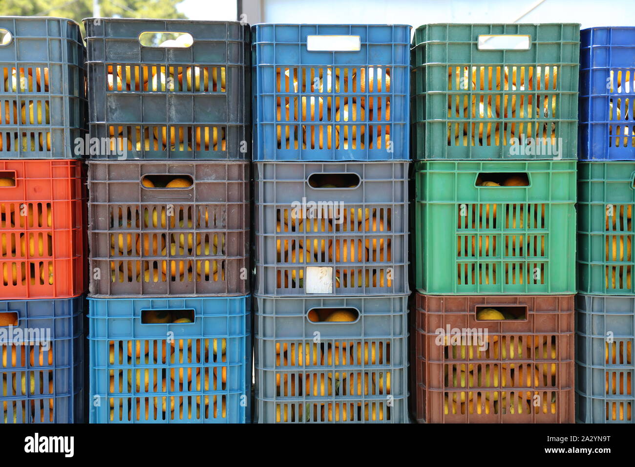 Caisses en plastique pf pile pleine d'oranges Banque D'Images