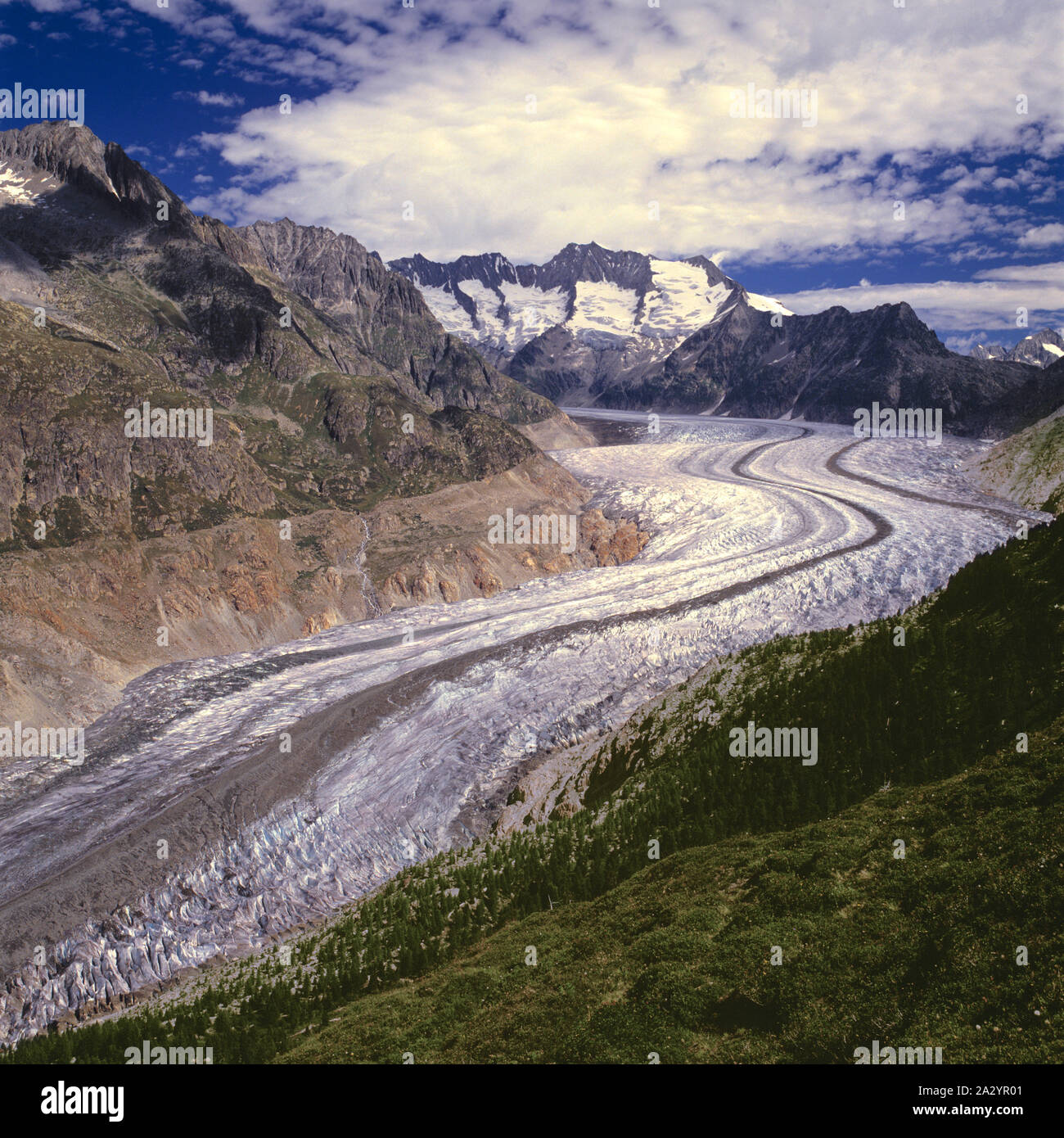 Glacier d'Aletsch. Le plus long glacier (Suisse) .La Suisse. Banque D'Images