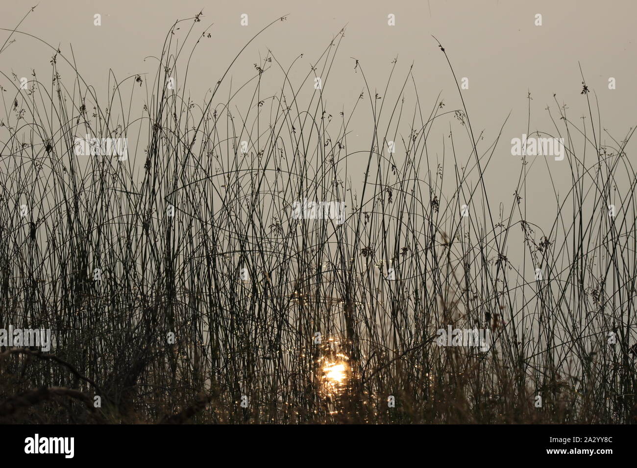 La réflexion du soleil dans l'eau Banque D'Images