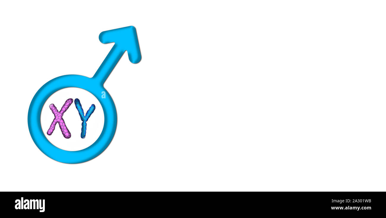 Symbole mâle bleu graphiques avec chromosomes X et Y. Banque D'Images