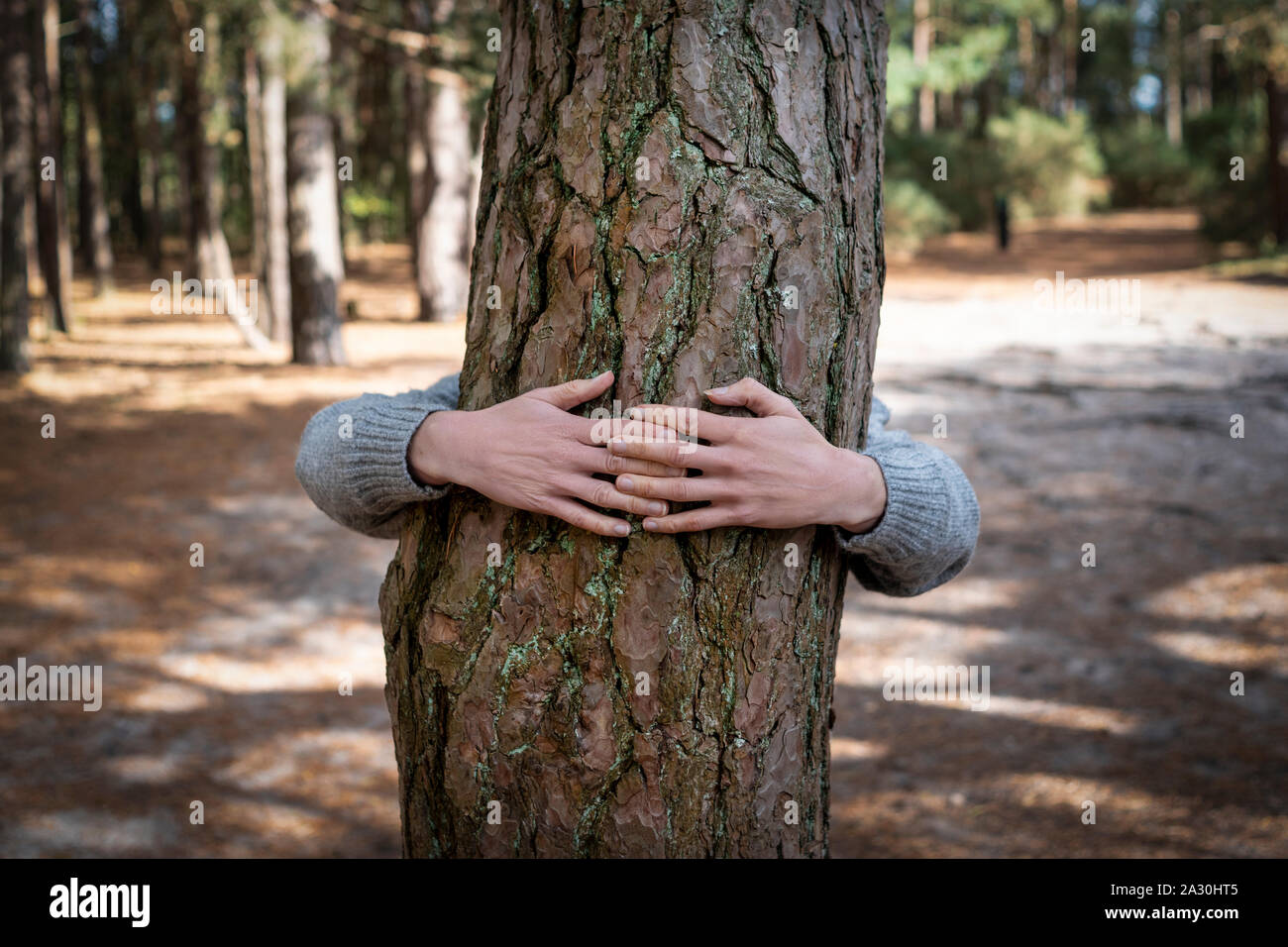 Tree Hugger, woman hugging a tree Banque D'Images