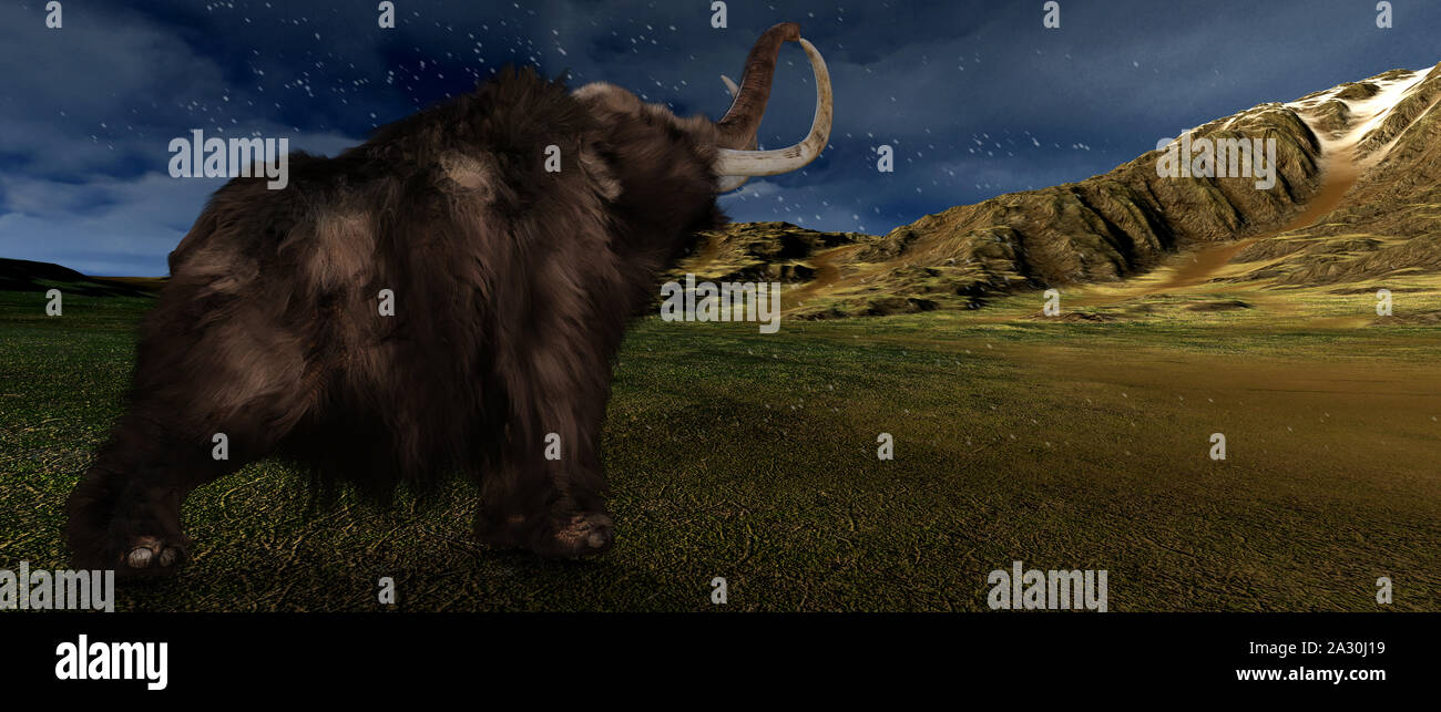 Mammoth extrêmement détaillées et réalistes et d'images 3D haute résolution Banque D'Images