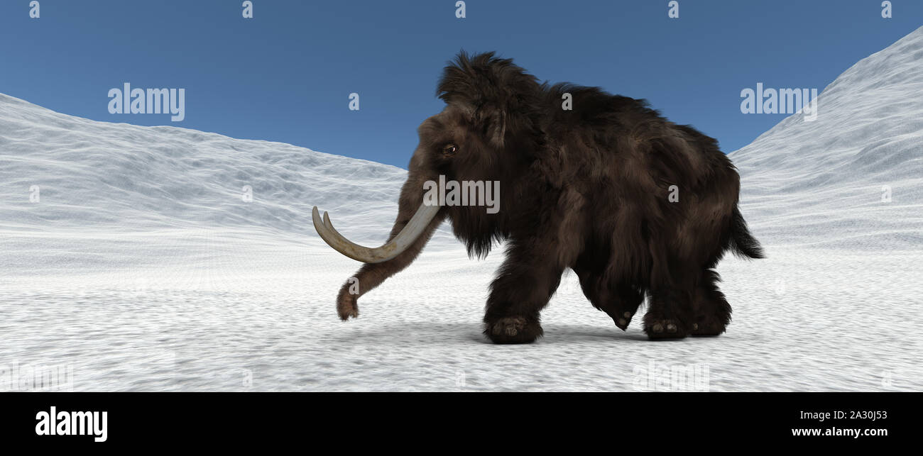 Mammoth extrêmement détaillées et réalistes et d'images 3D haute résolution Banque D'Images