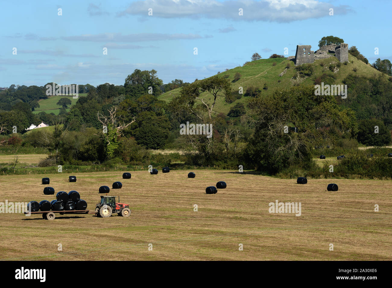 Dryslyn château situé en haut ses propres hill a une position dominante sur la rivière Towy valley. Un agriculteur rassemble dans le foin dans les champs ci-dessous. Banque D'Images