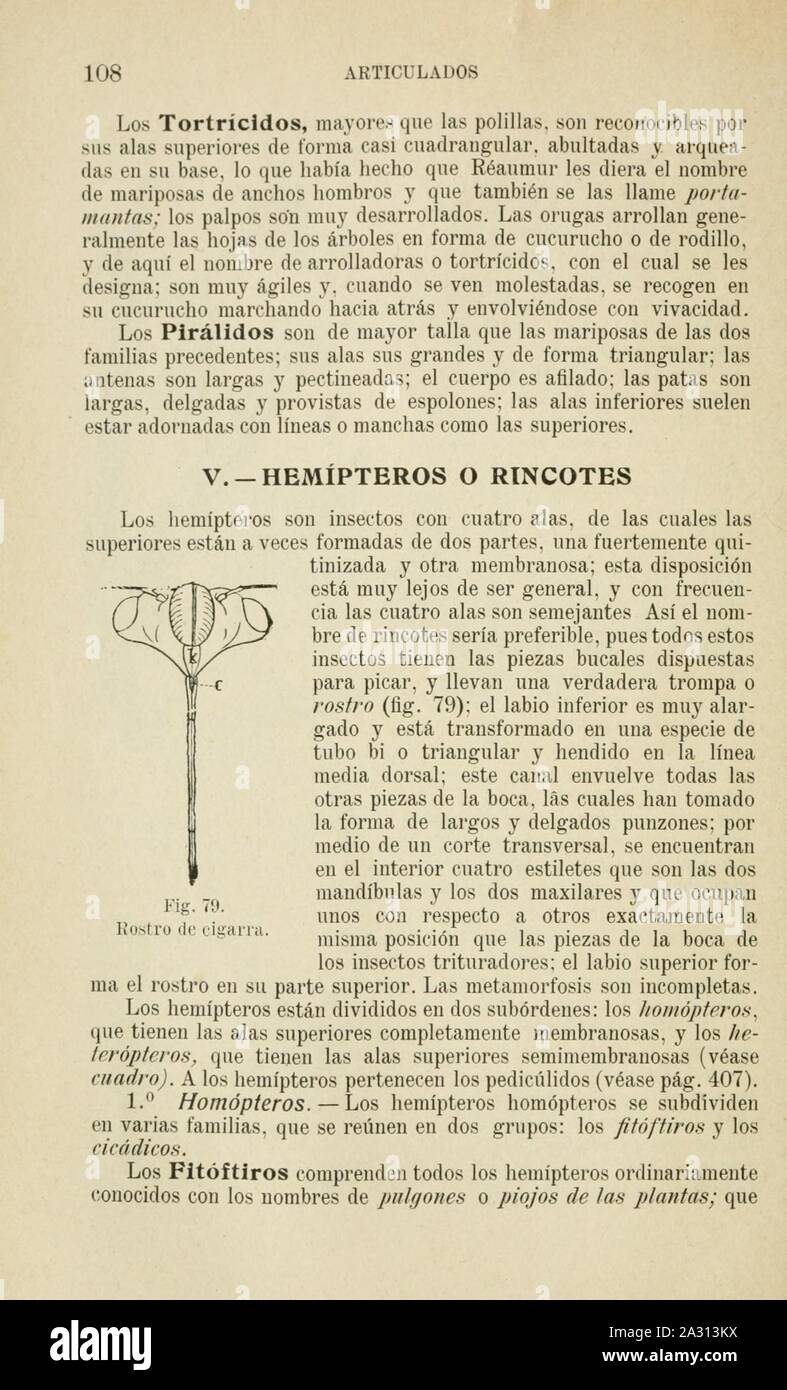 Entomología parasitología y agrícolas (page 108) Banque D'Images