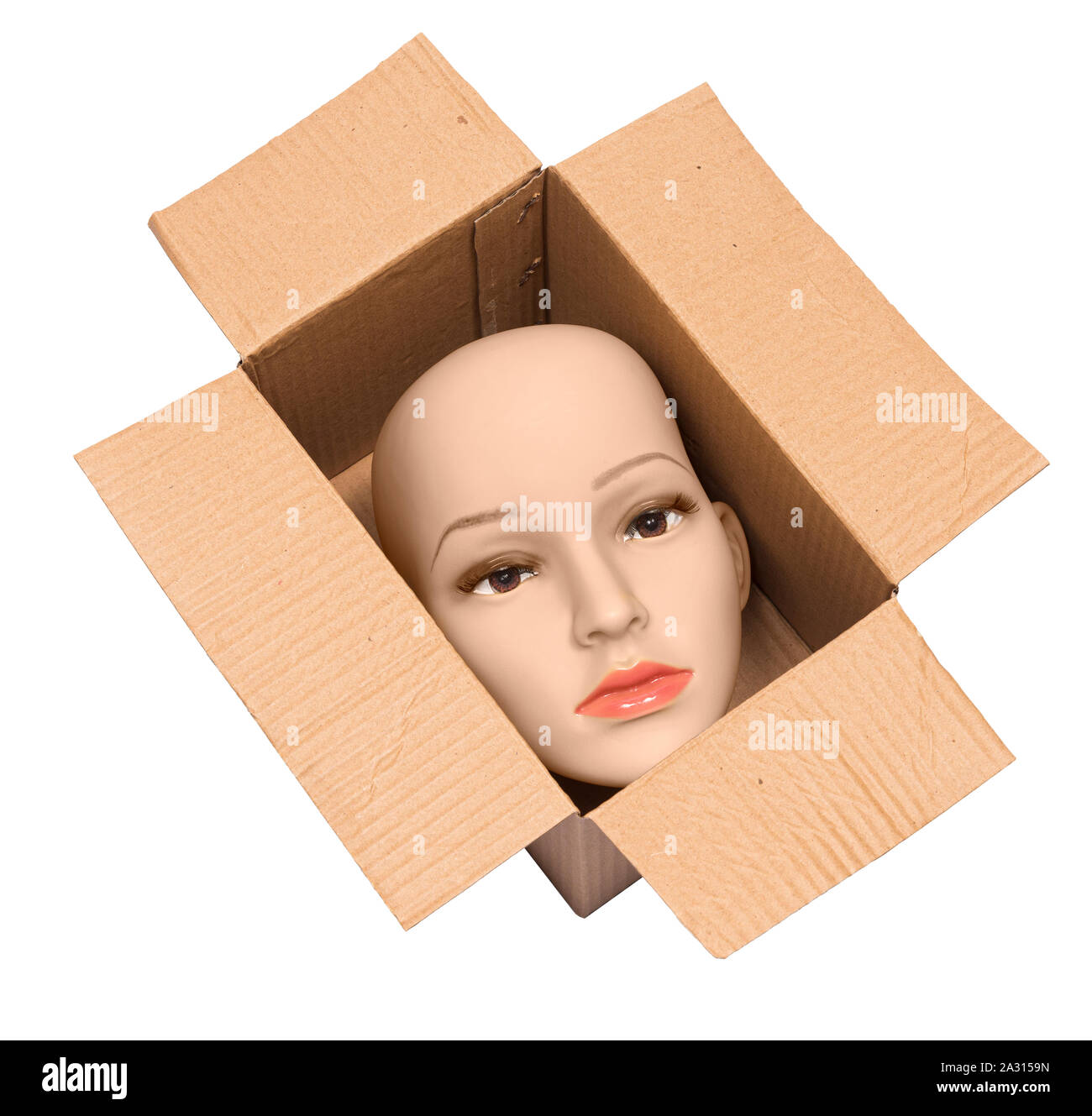 D'un coup horizontal mannequin femme chauve tête à l'intérieur d'une boîte en carton. La boîte et la tête est sur la diagonale. Arrière-plan blanc. Banque D'Images