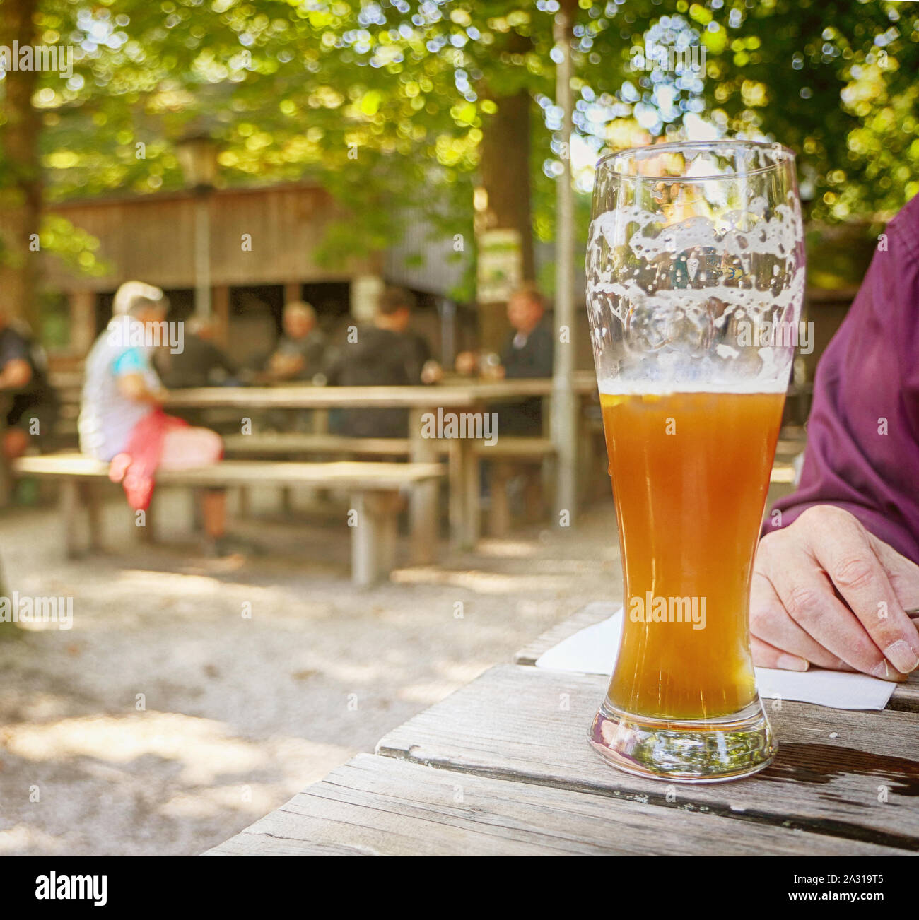 Verre de bière bavaroise au beer garden, arrière-plan flou Banque D'Images
