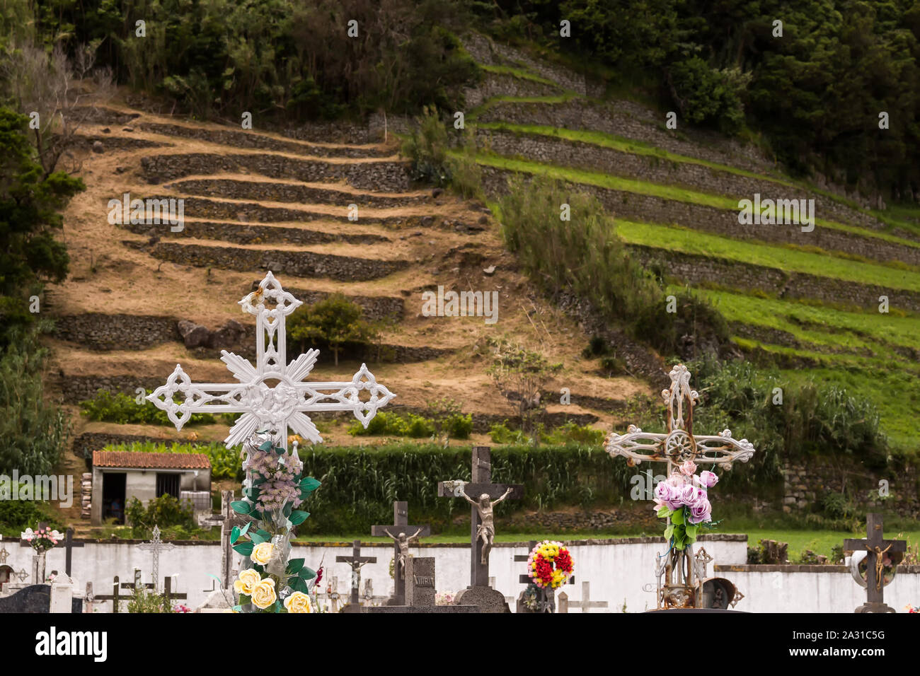 En vertu d'un cimetière hill. Croix et fleurs artificielles. Champ et prairie à l'arrière-plan. Faial da Terra, Sao Miguel, Açores, Portugal. Banque D'Images