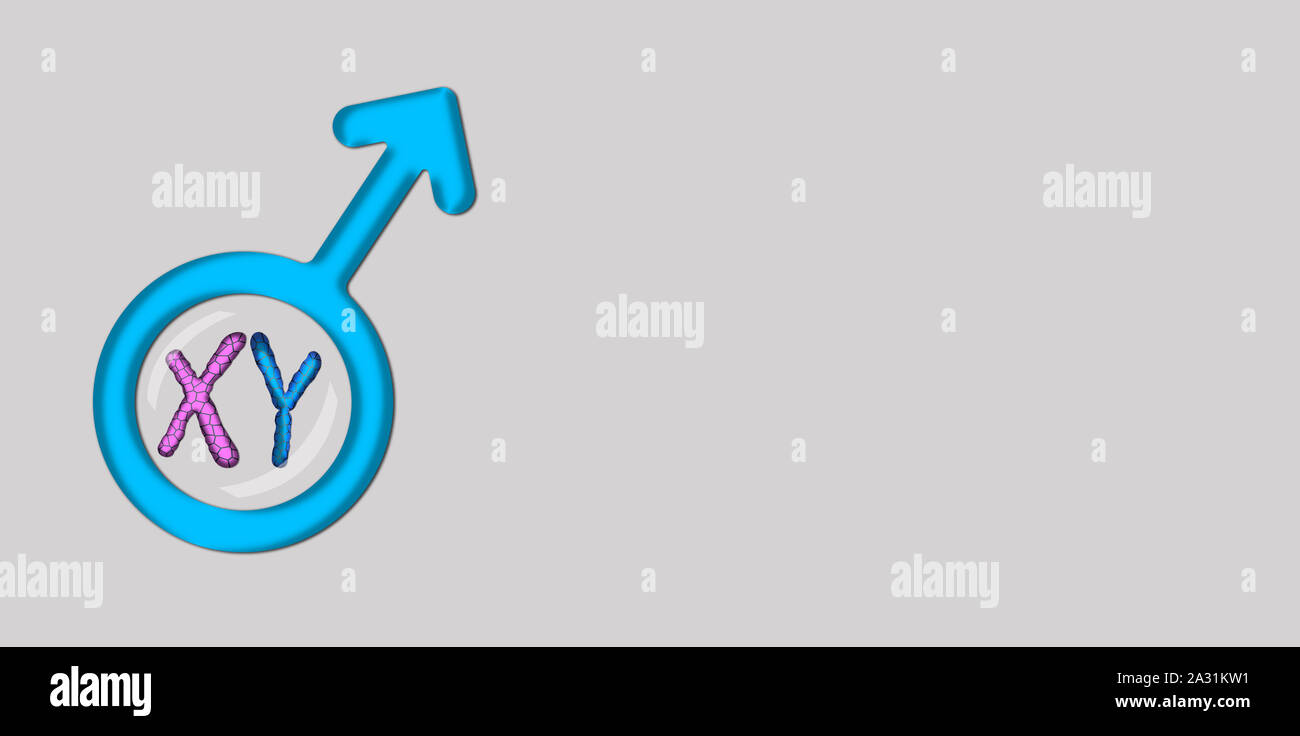 Symbole mâle bleu avec des chromosomes X et Y. Banque D'Images