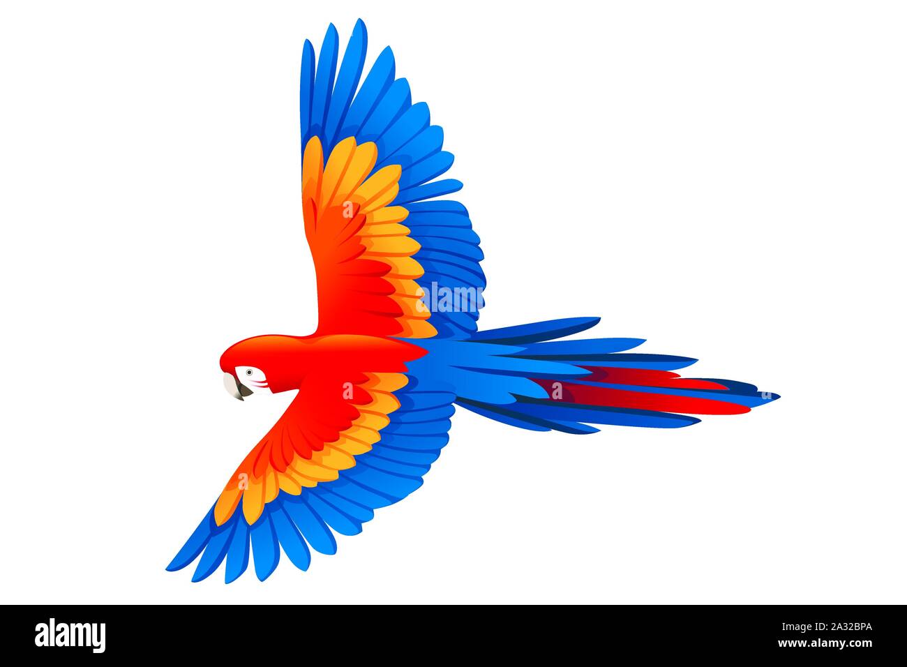 Parrot adultes de rouge et vert macaw Ara Ara chloropterus) (vol d'oiseau de dessin animé télévision design vector illustration isolé sur fond blanc. Illustration de Vecteur