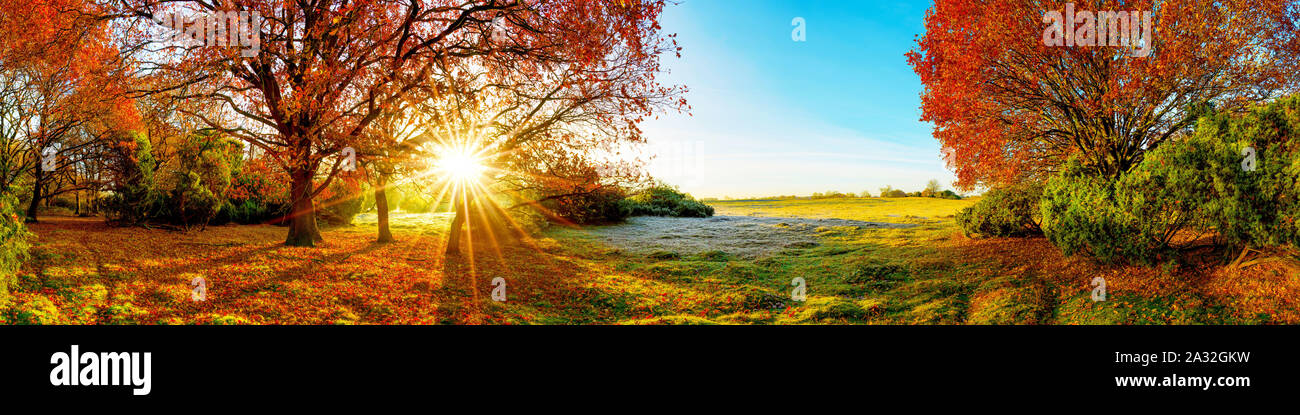 Idylllische Landschaft im Herbst mit Wald und Wiese, Sonne Banque D'Images