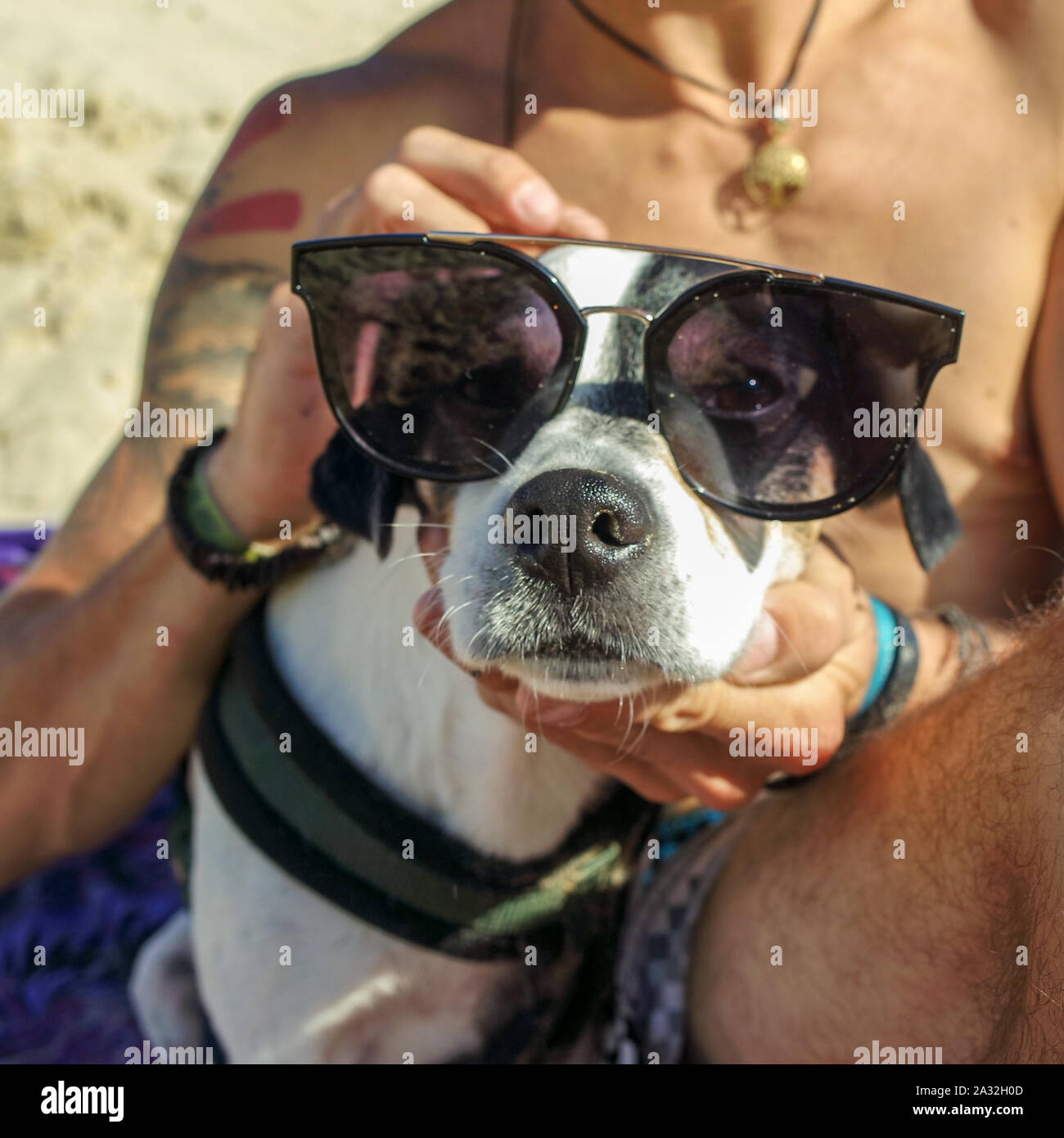 Travel France, Dune du Pilat Plage Banque D'Images