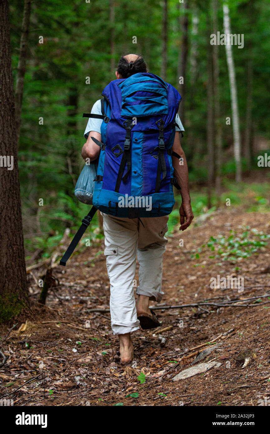 Un homme âgé est vu de dos, marchant dans un sentier forestier avec un  grand sac à dos bleu au cours d'une retraite en camping nature Photo Stock  - Alamy