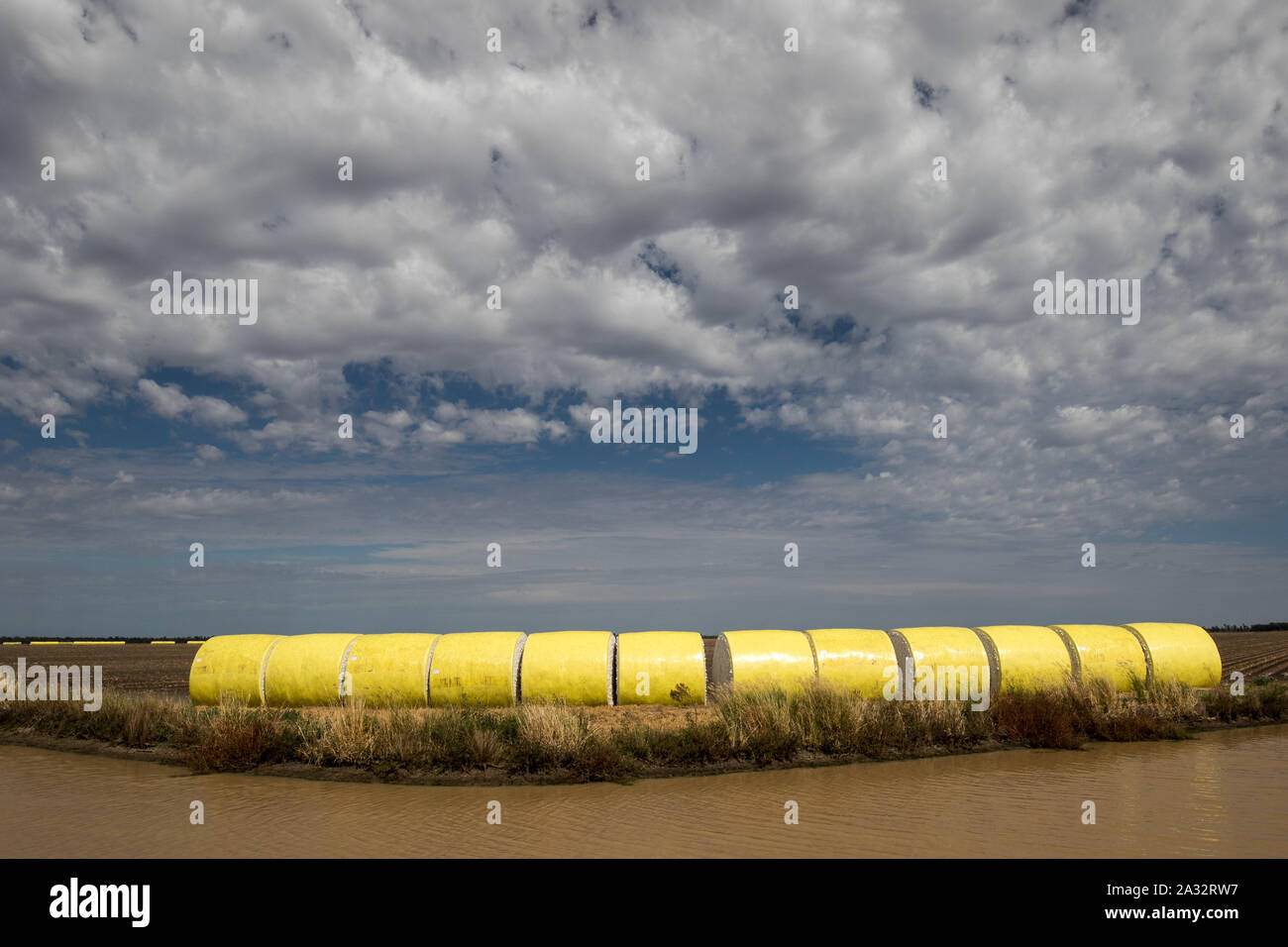 La culture du coton NSW Australie Occidentale Banque D'Images