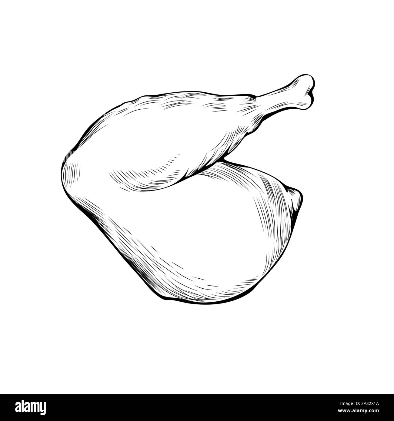 Cuisse de poulet hand drawn vector illustration. Maison de vacances saison d'automne, jour de Thanksgiving, barbecue contours symbole. La Turquie frit, rôti de viande d'oiseaux dessin monochrome. Des plats délicieux, ingrédient barbecue Illustration de Vecteur Cuisse de poulet hand drawn vector illustration. Maison de vacances saison d'automne, jour de Thanksgiving, barbecue contours symbole. La Turquie frit, rôti de viande d'oiseaux dessin monochrome. Des plats délicieux, ingrédient barbecue Illustration de Vecteur