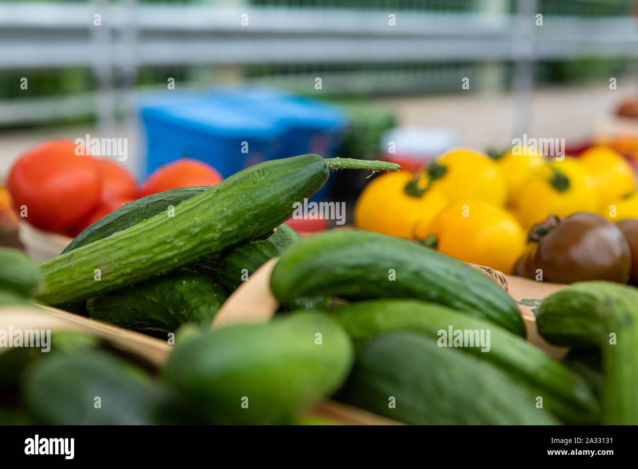 Une vue rapprochée des légumes biologiques, concombres et tomates affichée sur un stand lors d'un salon de l'agriculture l'agriculture et la vente de produits locaux. Banque D'Images