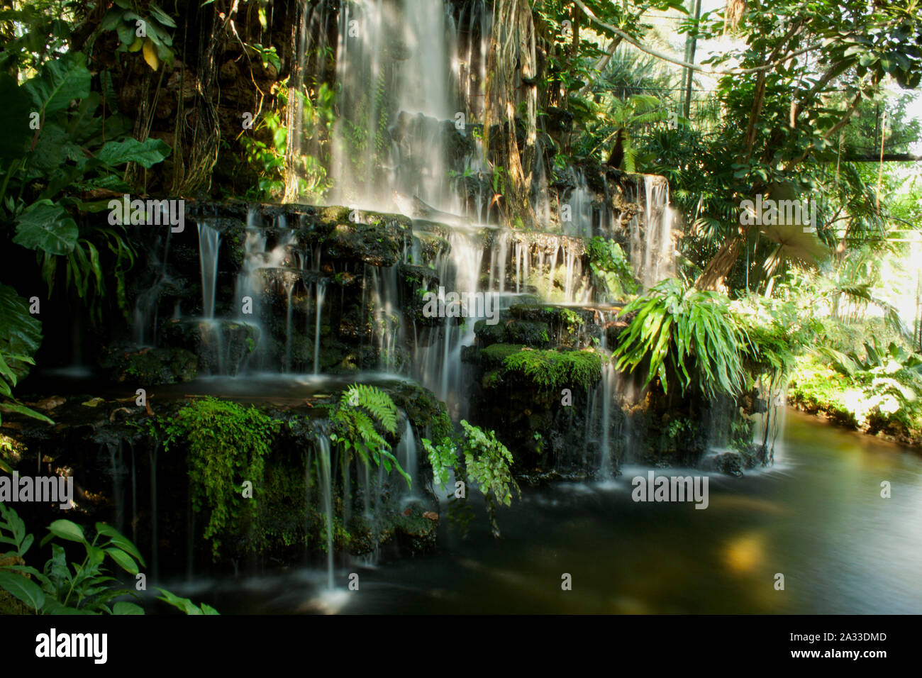 Cascade sur l'étang d'or Banque D'Images