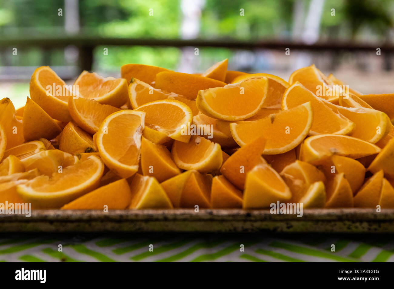 Une vue en gros plan sur des segments d'oranges fraîchement tranchés sur un plateau dans un camping, une saine alimentation, les gens recherchent de l'attention et de bien-être dans la nature. Banque D'Images