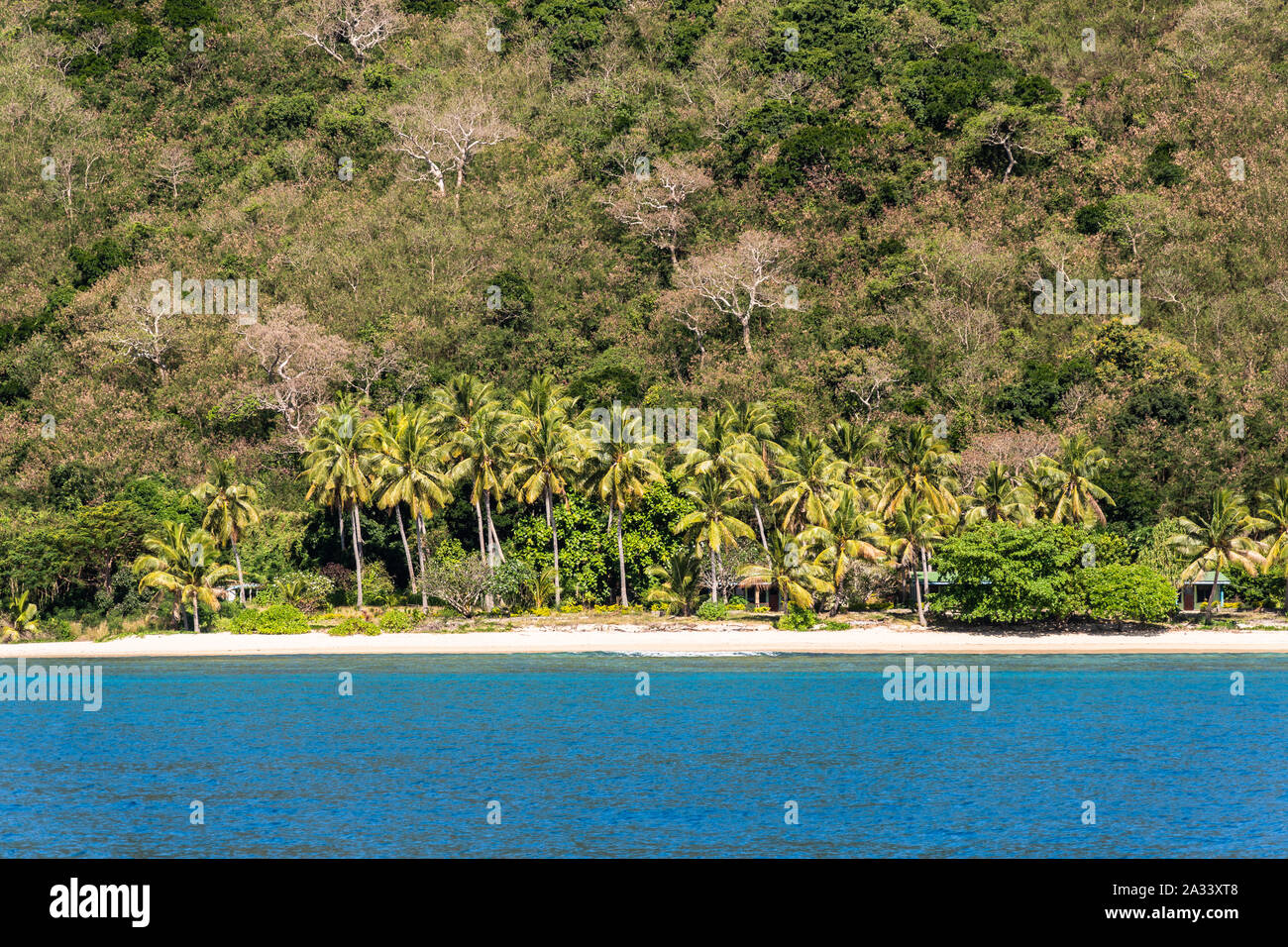 Cadre idyllique plage bordée de palmiers dans le Yasawa ile aux Îles Fidji en Océanie Banque D'Images
