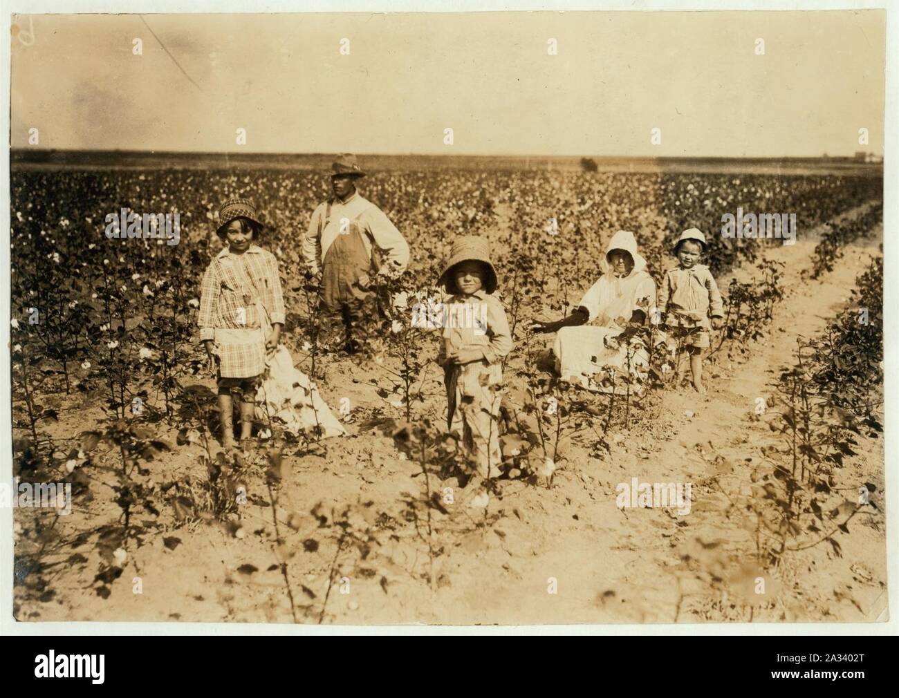 Le juge en chef de la famille Walker, Route 2, Box 78, Geronimo, New York. 6 ans et 5 ans bijou ancien Harold prend 20 à 25 livres de coton par jour. Père a dit- 'J'ai promis un peu em wagon s'ils Banque D'Images