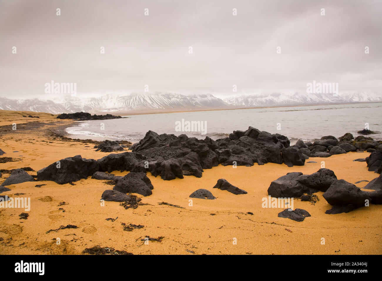 Des roches de lave sur la plage à Budir, Islande Banque D'Images