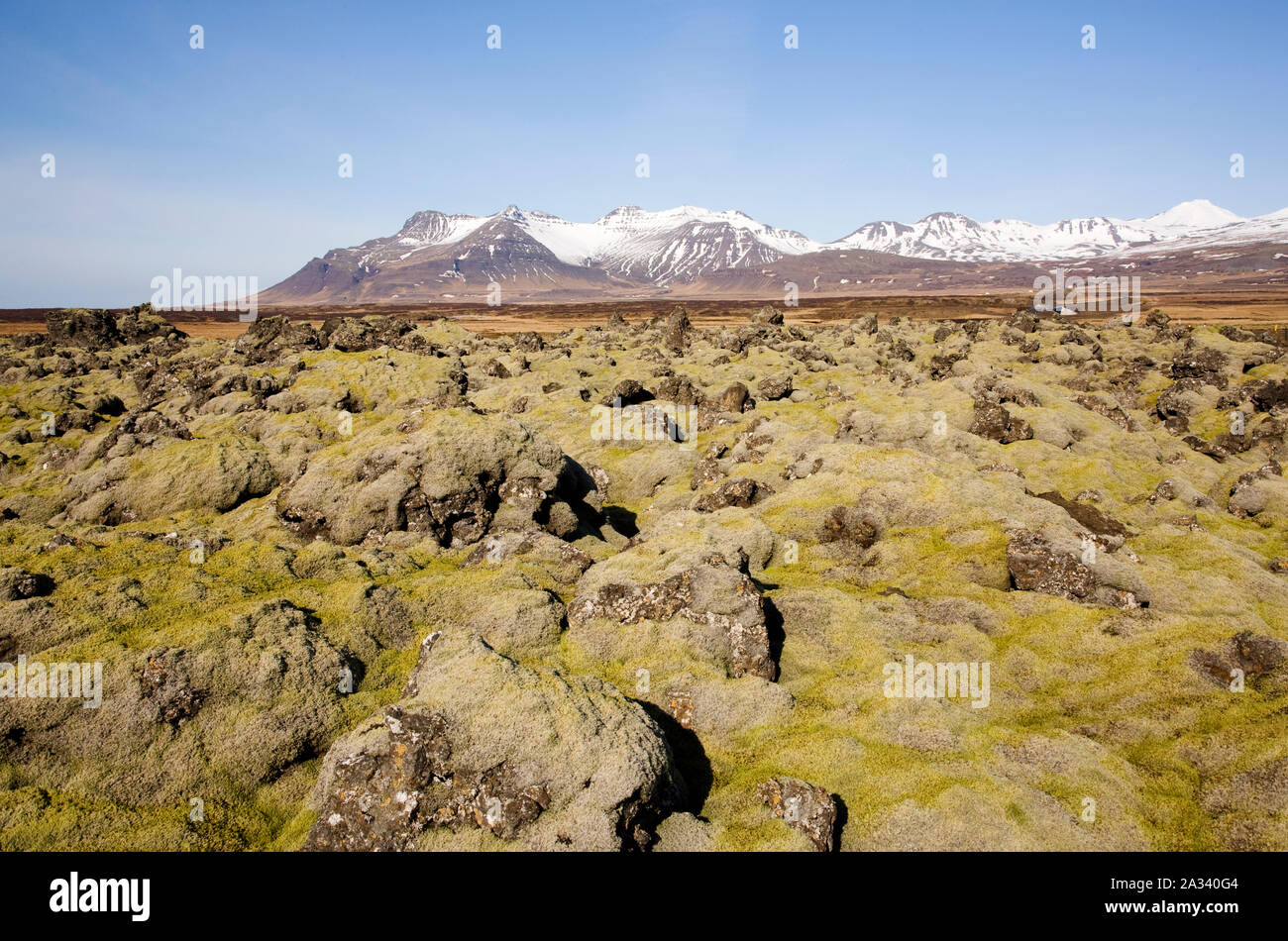 Des pierres de lave couverts de mousse, de l'Islande Banque D'Images