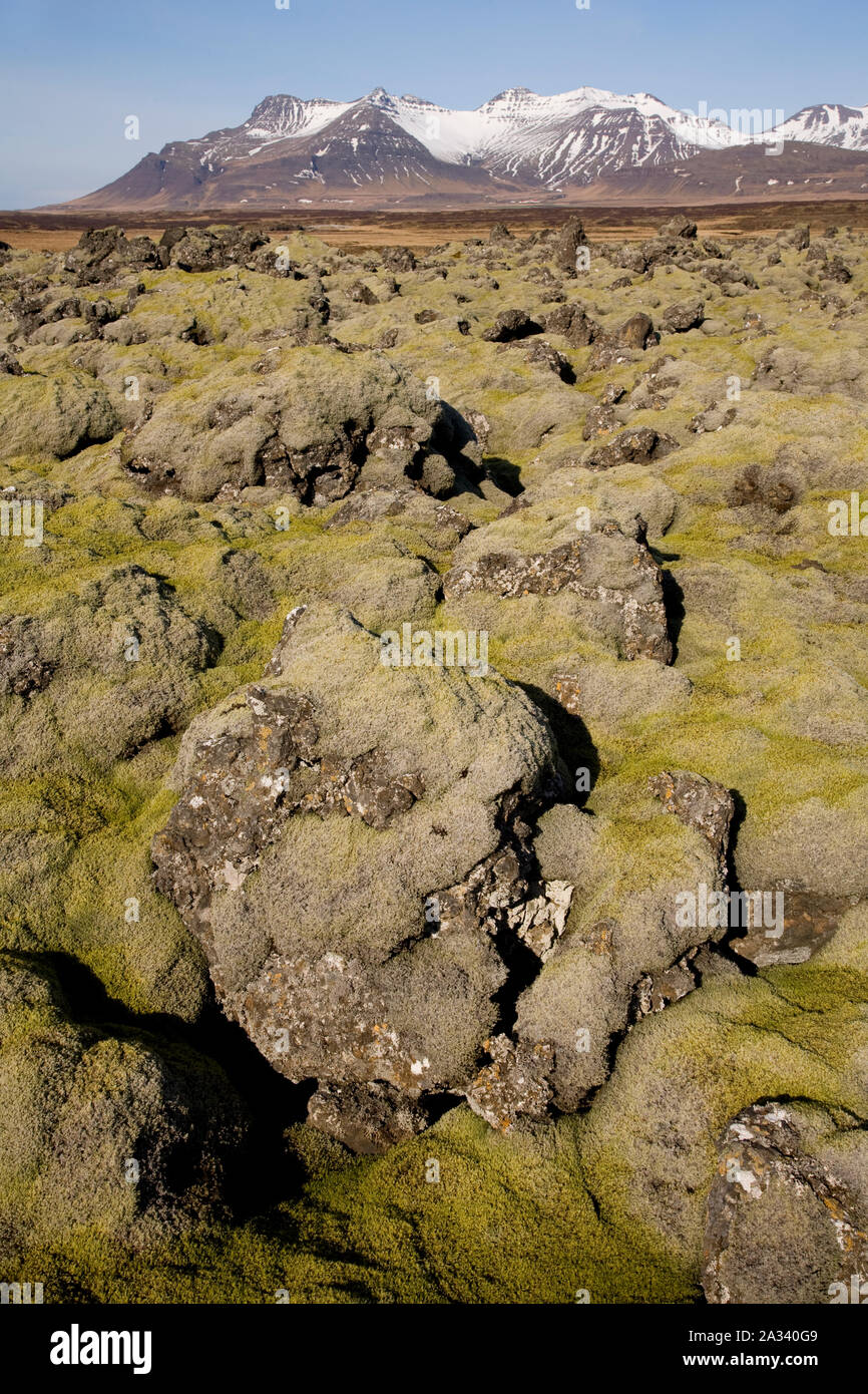 Des pierres de lave couverts de mousse, de l'Islande Banque D'Images
