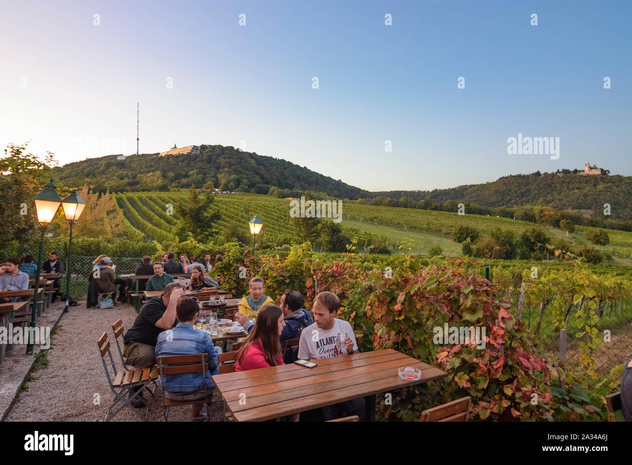 Wien, Vienne : Boutique restaurant vin Heuriger Sirbu, vignoble, vue montagne Kahlenberg et église à mountain Leopoldsberg dans 19. Döbling, Wien, Aus Banque D'Images