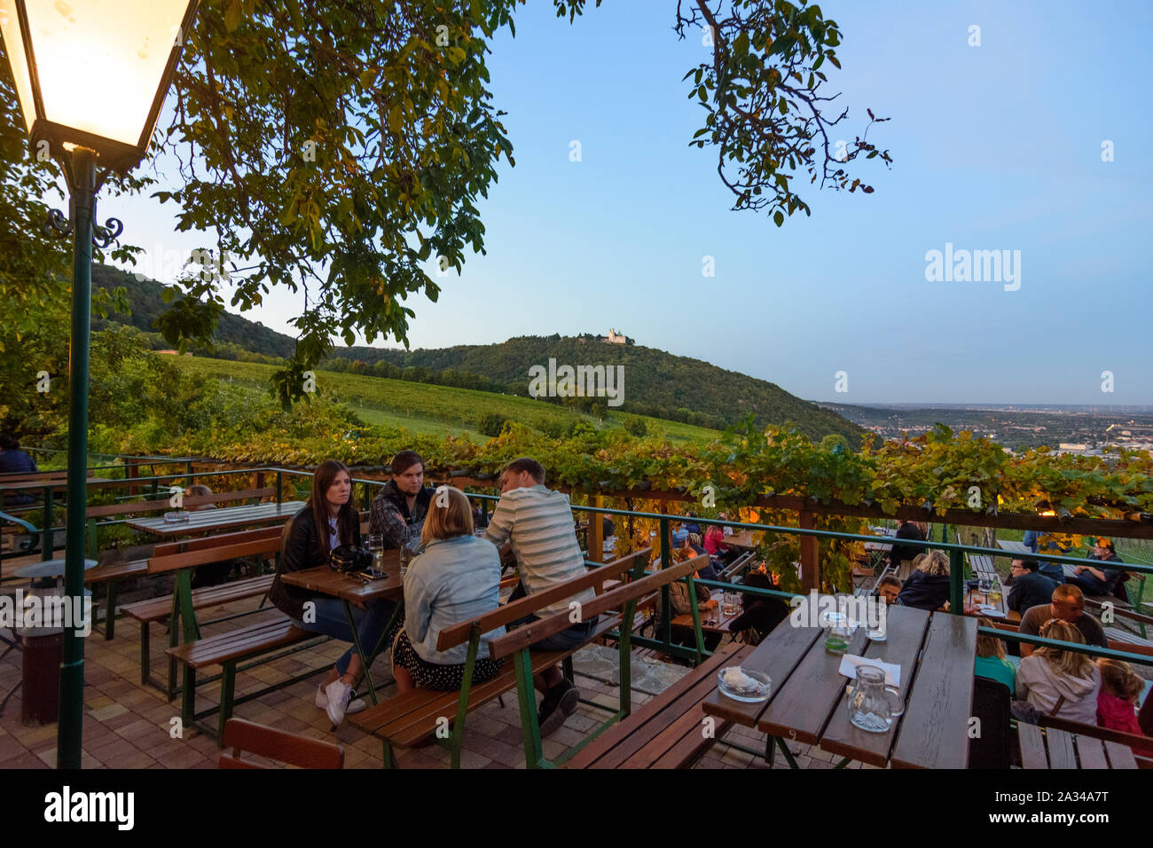 Wien, Vienne : Boutique restaurant vin Heuriger Sirbu, vignoble, vue à l'église à mountain Leopoldsberg dans 19. Döbling, Wien, Autriche Banque D'Images