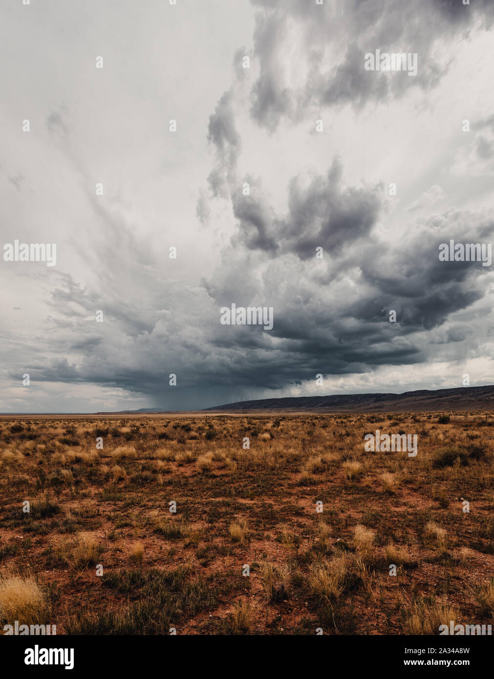 Thuderstorm au désert de l'Arizona Banque D'Images