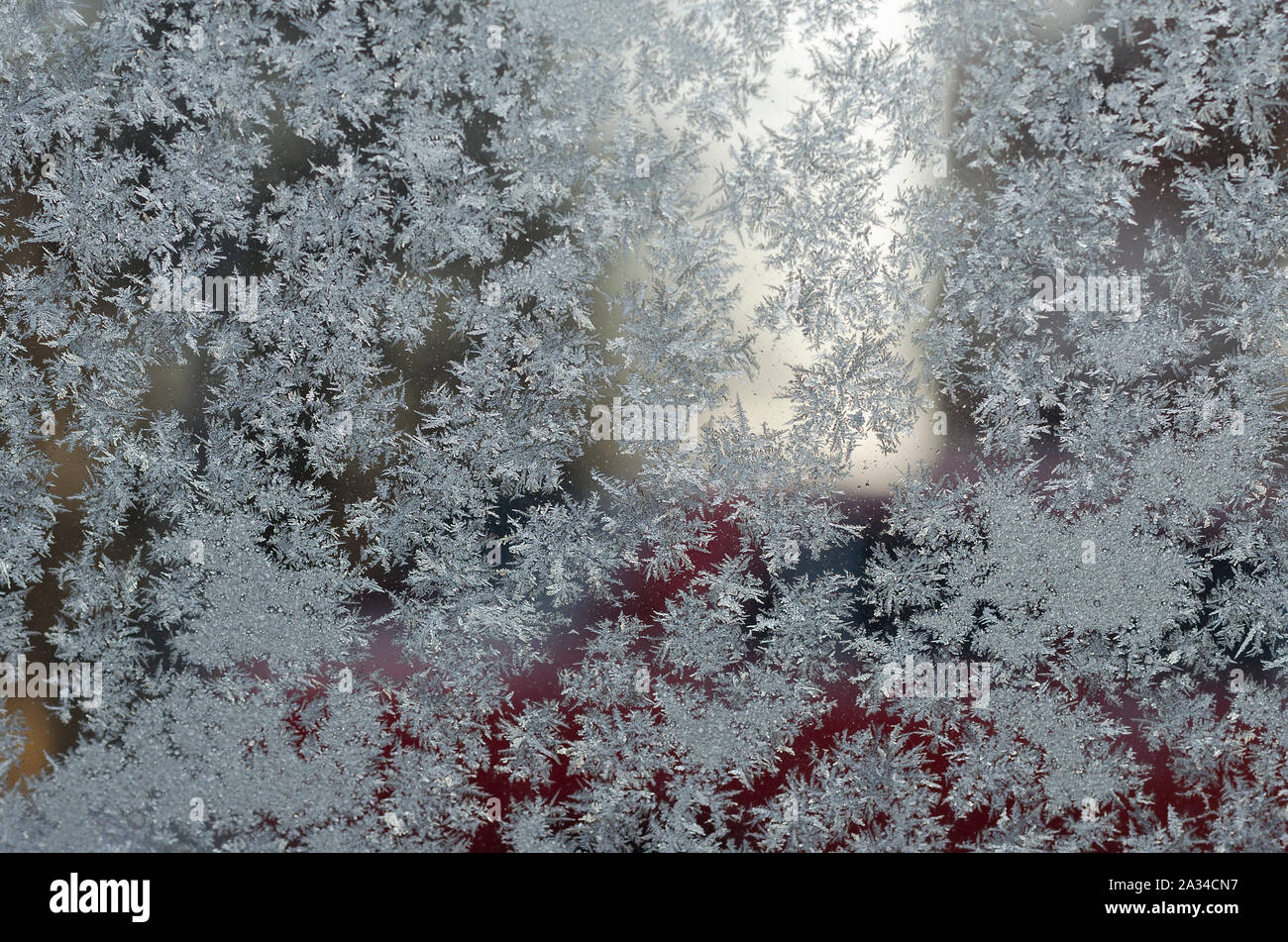 Fleurs de glace -flou de verre de fenêtre congelé Banque D'Images