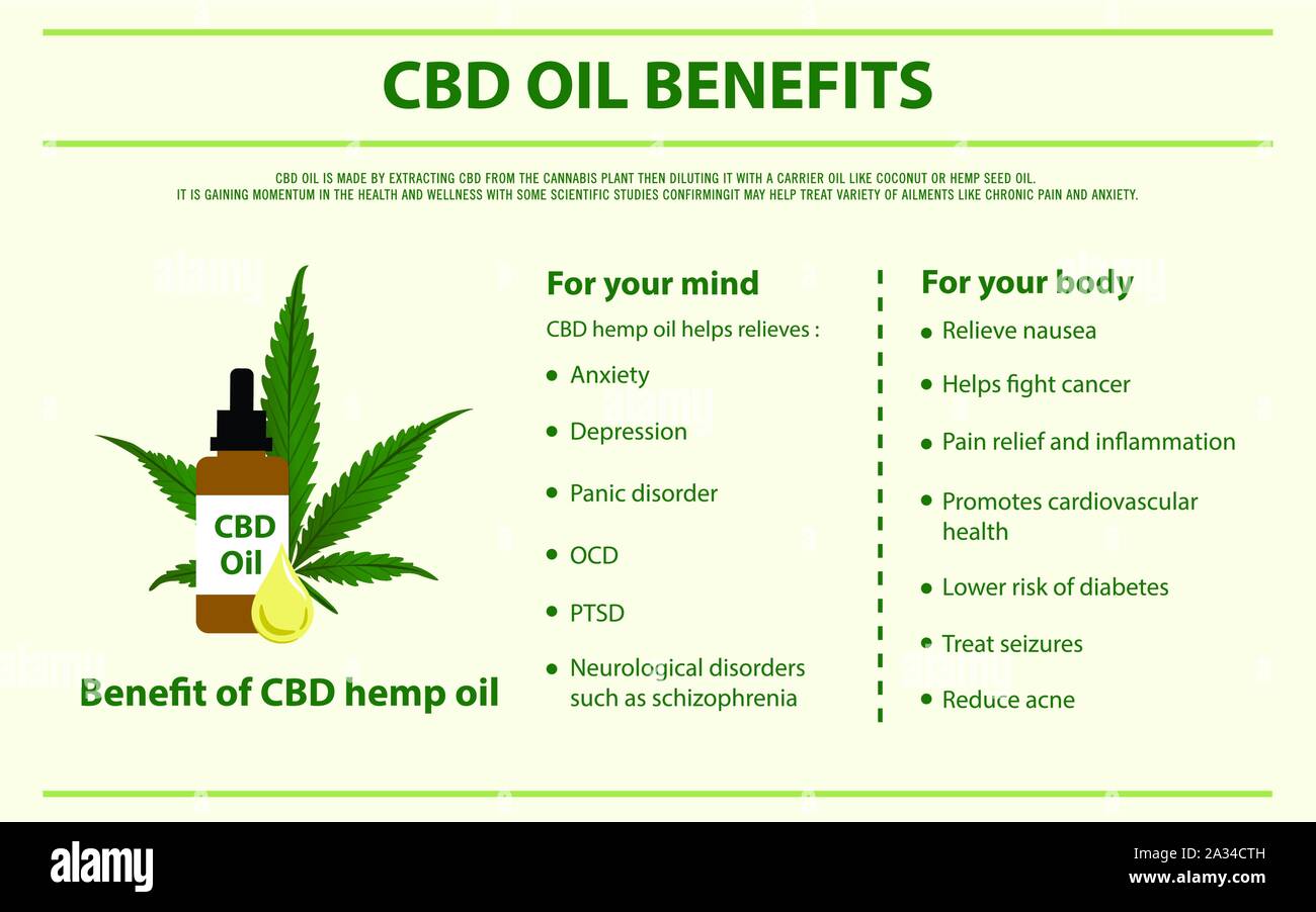 Bienfaits de l'huile de la CDB sur le cannabis illustration infographique horizontale comme produits de la médecine alternative, de la santé et des sciences médicales. Illustration de Vecteur