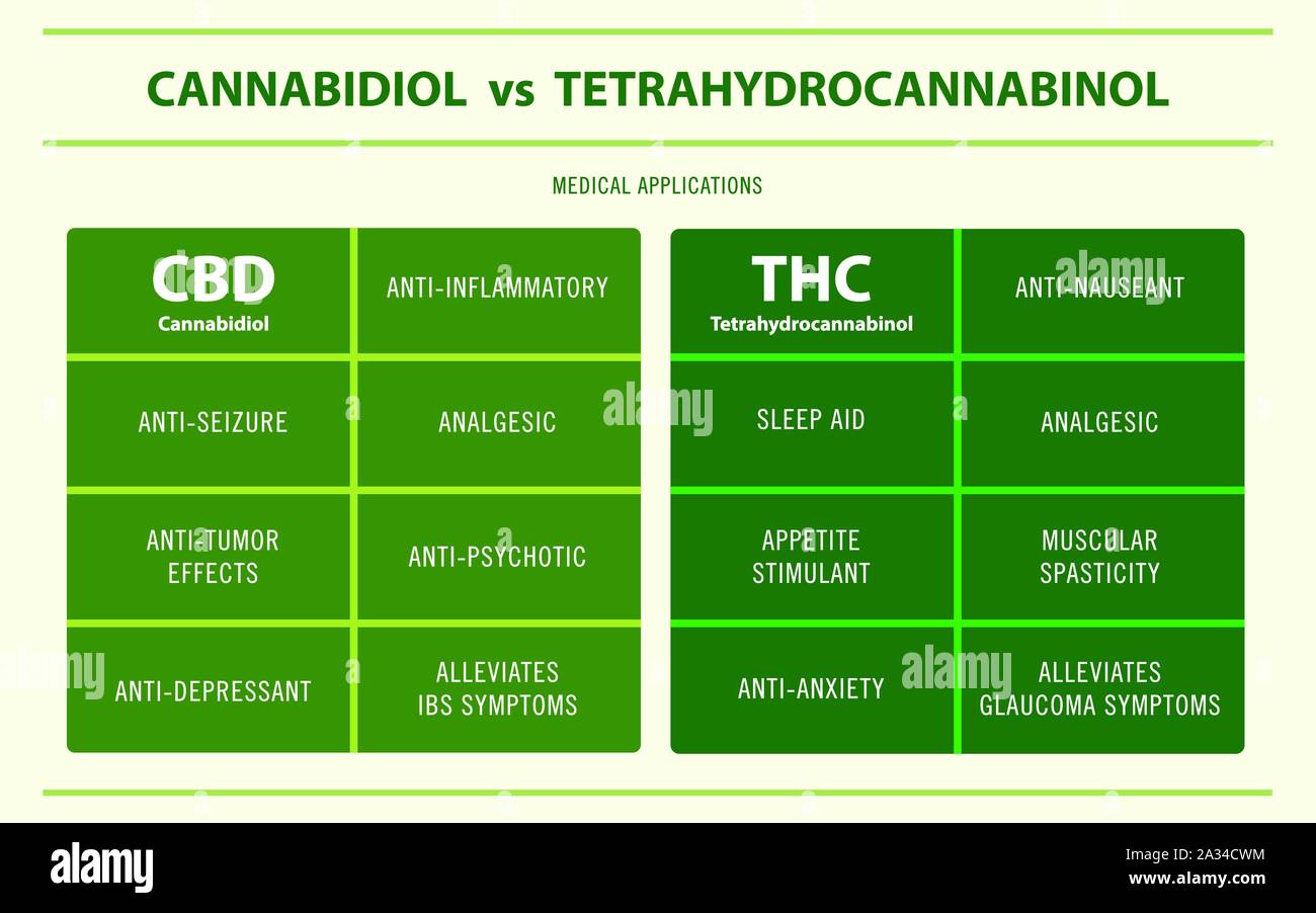 CBD vs THC Applications médicales illustration infographique horizontale sur le cannabis phytothérapie, santé et sciences médicales vecteur. Illustration de Vecteur