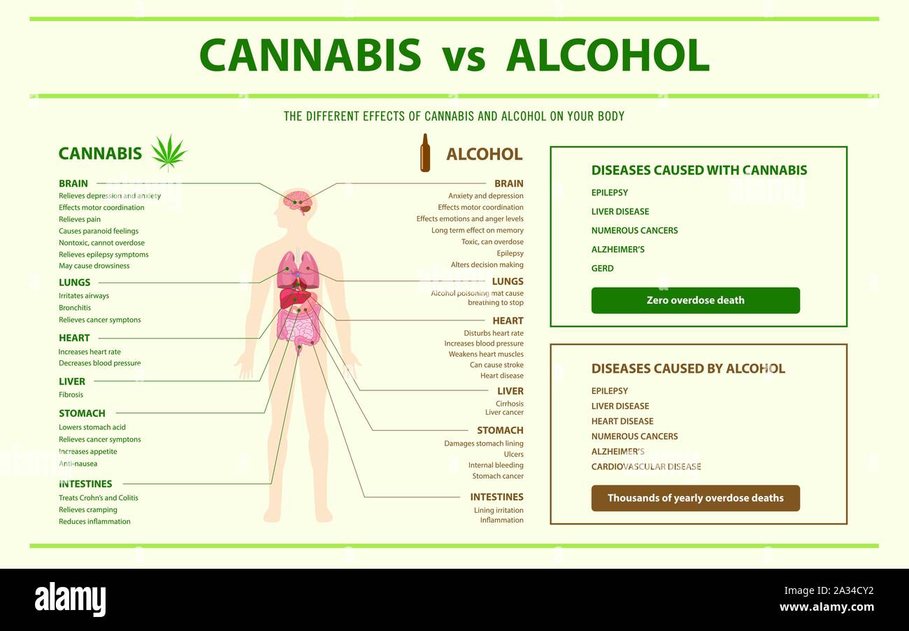 Le Cannabis vs alcool illustration infographique horizontale sur le cannabis comme produits de la médecine alternative, de la santé et des sciences médicales. Illustration de Vecteur