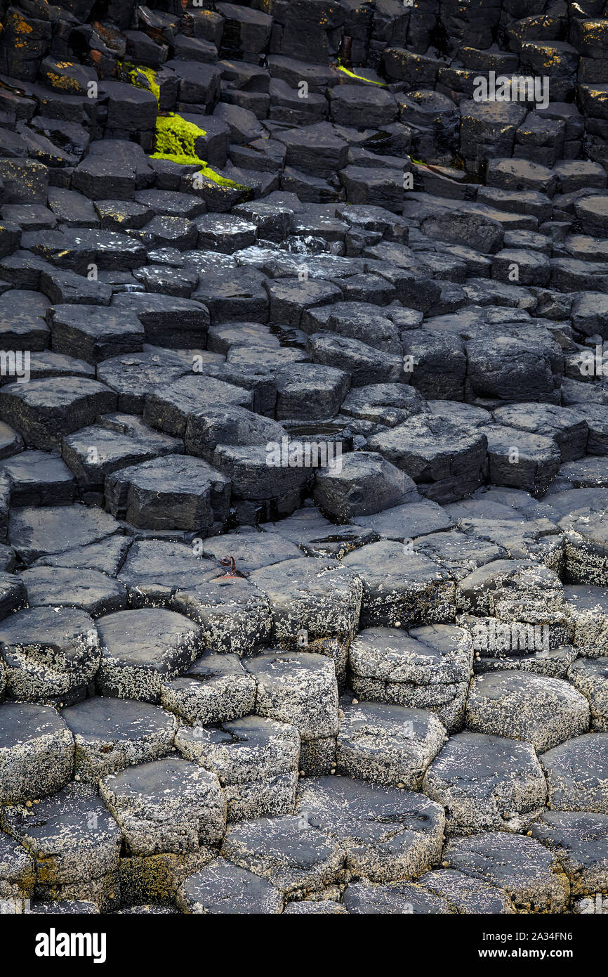 Les colonnes basaltiques hexagonales sur Staffa, Hébrides intérieures, Ecosse, Royaume-Uni Banque D'Images