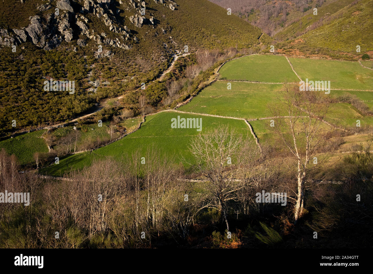 Asturias, Espagne - 21 mars 2019 : le long de la vallée de Ruta del Cabril Banque D'Images