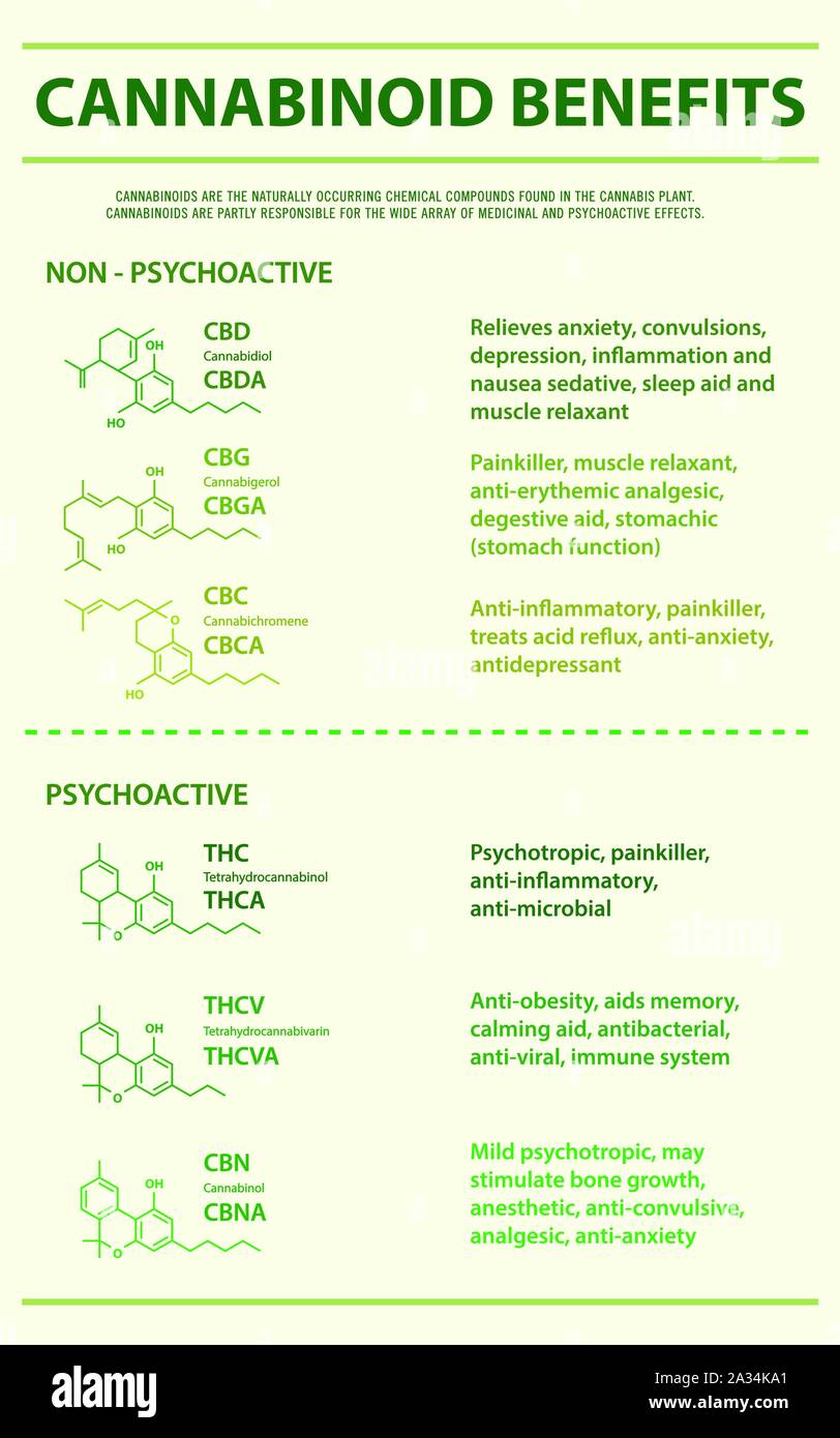Avantages de cannabinoïdes illustration infographique verticale sur le cannabis comme produits de la médecine alternative, de la santé et des sciences médicales. Illustration de Vecteur