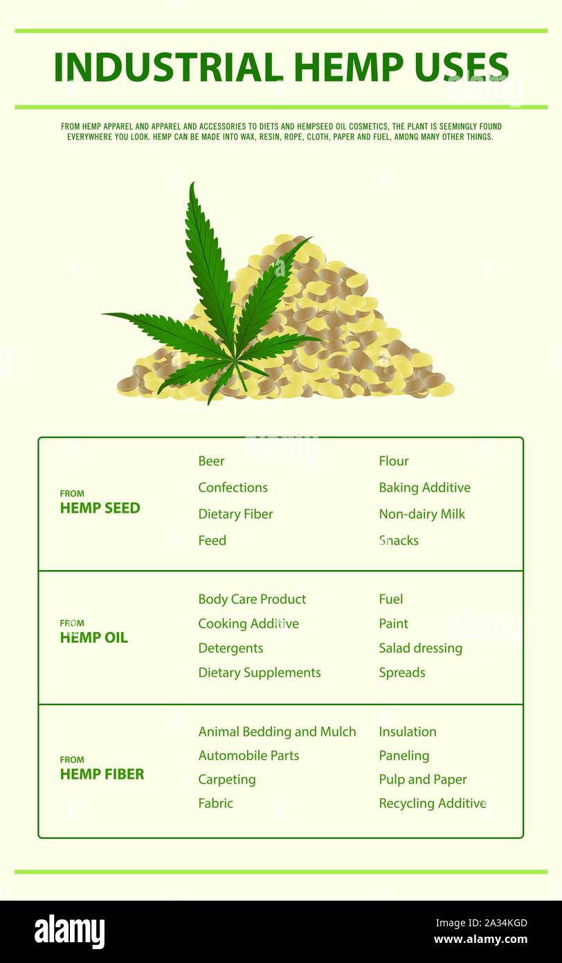 Le chanvre industriel utilise l'illustration infographique verticale sur le cannabis comme produits de la médecine alternative, de la santé et des sciences médicales. Illustration de Vecteur